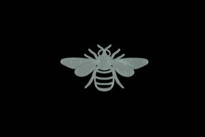 A BEAUTIFUL BEE ACRYLIC SEWING/CRAFT TEMPLATE from 3"