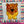Load image into Gallery viewer, AN ELEPHANT, HIPPO, LION AND TIGER HEAD WITH ONE BODY