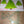 Load image into Gallery viewer, A SET OF ACRYLIC CHRISTMAS TREE SEWING/CRAFT TEMPLATES