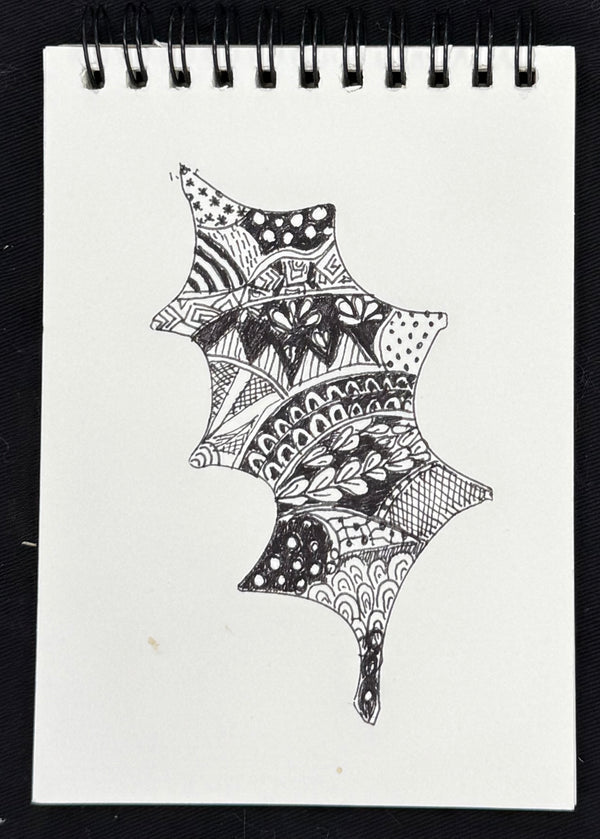 Whimsy Lines - Mindful drawing kit