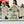 Wooden beach hut workshop, Broadstone, 10-12.30pm 20/06/26