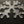A SNOWFLAKE ACRYLIC MACHINE QUILTING TEMPLATE 4MM OR 6MM THICK