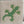 A GORGEOUS GECKO ACRYLIC SEWING/CRAFT TEMPLATE from 3