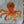 A OCTOPUS ACRYLIC SEWING/CRAFT TEMPLATE