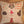 SQUIRREL ACRYLIC SEWING CRAFT TEMPLATE
